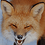 FabledFox